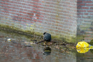 2022-03-13 Project Loosduinen 03 maart - 20220313-3160-215658
