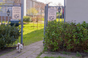 004-2022-03-26 Langs de Hondenknipsalon