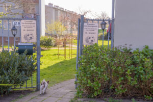 005-2022-03-26 Langs de Hondenknipsalon