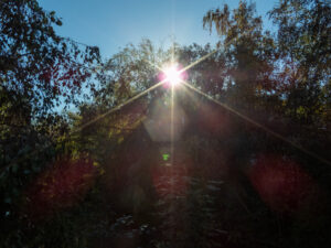 005-2022-11-12 Project Loosduinen november 12