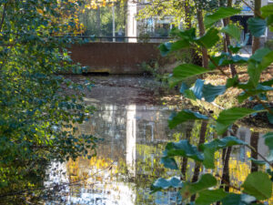 005-2022-11-13 Project Loosduinen november 13