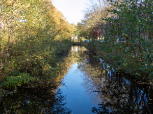 006-2022-11-13 Project Loosduinen november 13