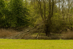 009-2022-04-10 Land art Delft
