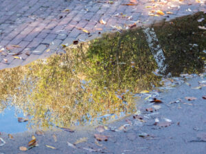 012-2022-11-12 Project Loosduinen november 12