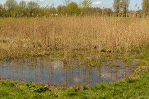 013-2022-04-10 Land art Delft