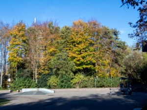 014-2022-11-12 Project Loosduinen november 12