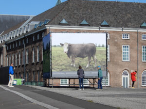 018-2022-10-06 Photo Breda