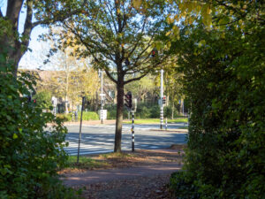 018-2022-11-13 Project Loosduinen november 13