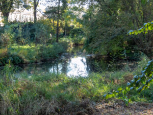 022-2022-11-12 Project Loosduinen november 12