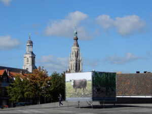 023-2022-10-06 Photo Breda
