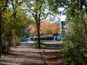 023-2022-11-12 Project Loosduinen november 12