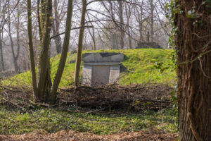 025-2022-03-26 Langs de Hondenknipsalon