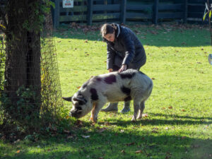 032-2022-11-13 Project Loosduinen november 13
