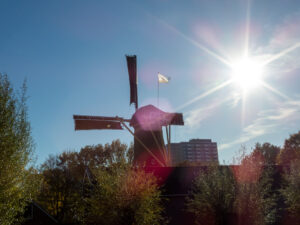 043-2022-11-12 Project Loosduinen november 12