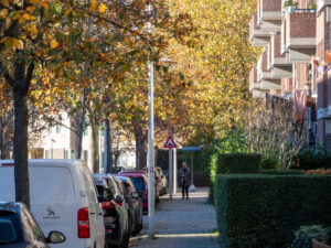 043-2022-11-13 Project Loosduinen november 13