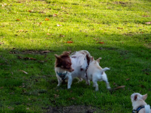 047-2022-11-12 Project Loosduinen november 12