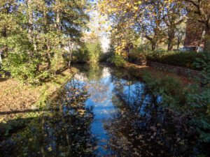 047-2022-11-13 Project Loosduinen november 13