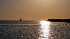 Samsung SM-G780F 1/14900 sec. @ f/2,4 ISO 50 7.12 mm