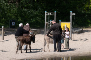 055-2022-04-24 Project Loosduinen 04 april