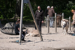 062-2022-04-24 Project Loosduinen 04 april