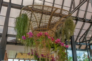 063-2022-06-10 Florade