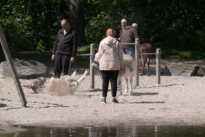 064-2022-04-24 Project Loosduinen 04 april