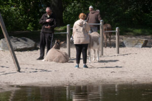 065-2022-04-24 Project Loosduinen 04 april