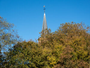 065-2022-11-12 Project Loosduinen november 12