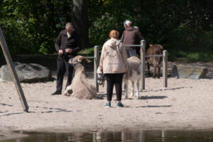 066-2022-04-24 Project Loosduinen 04 april
