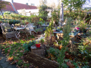 073-2022-11-12 Project Loosduinen november 12