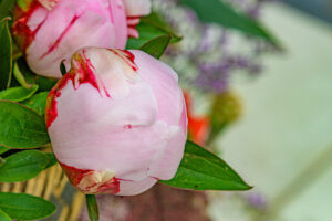 112-2022-06-10 Florade