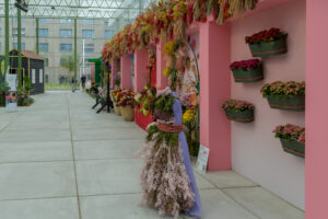 114-2022-06-10 Florade