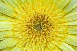 128-2022-06-10 Florade