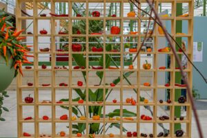 136-2022-06-10 Florade