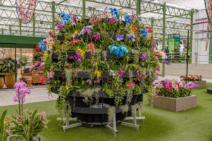 146-2022-06-10 Florade