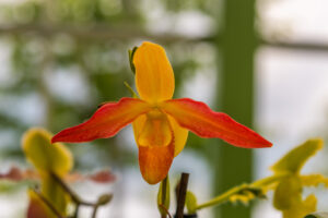 148-2022-06-10 Florade