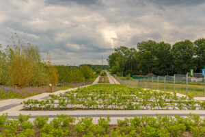 166-2022-06-10 Florade