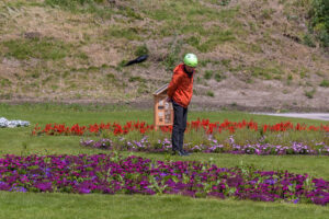 174-2022-06-10 Florade