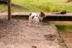 192-2022-09-28 Loenense watervallen