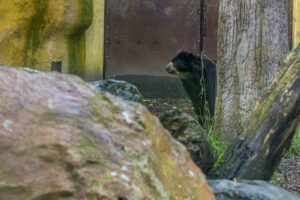 410-2022-09-30 Dierentuin Amersfoort
