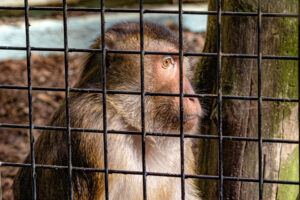 411-2022-09-30 Dierentuin Amersfoort