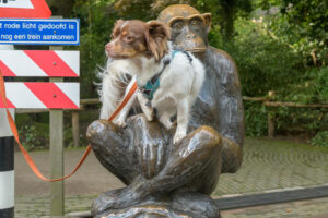 412-2022-09-30 Dierentuin Amersfoort