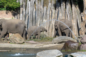 414-2022-09-30 Dierentuin Amersfoort