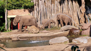 415-2022-09-30 Dierentuin Amersfoort