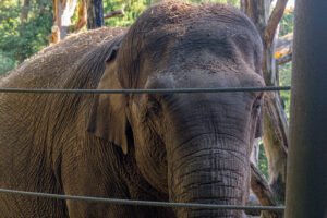 417-2022-09-30 Dierentuin Amersfoort