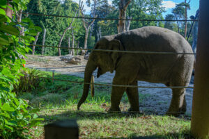 418-2022-09-30 Dierentuin Amersfoort