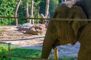 419-2022-09-30 Dierentuin Amersfoort