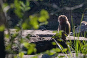 426-2022-09-30 Dierentuin Amersfoort