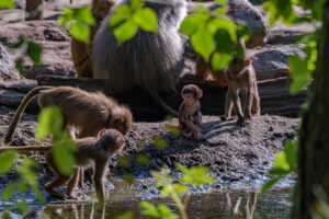 427-2022-09-30 Dierentuin Amersfoort