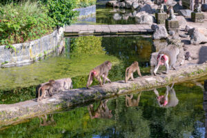 433-2022-09-30 Dierentuin Amersfoort